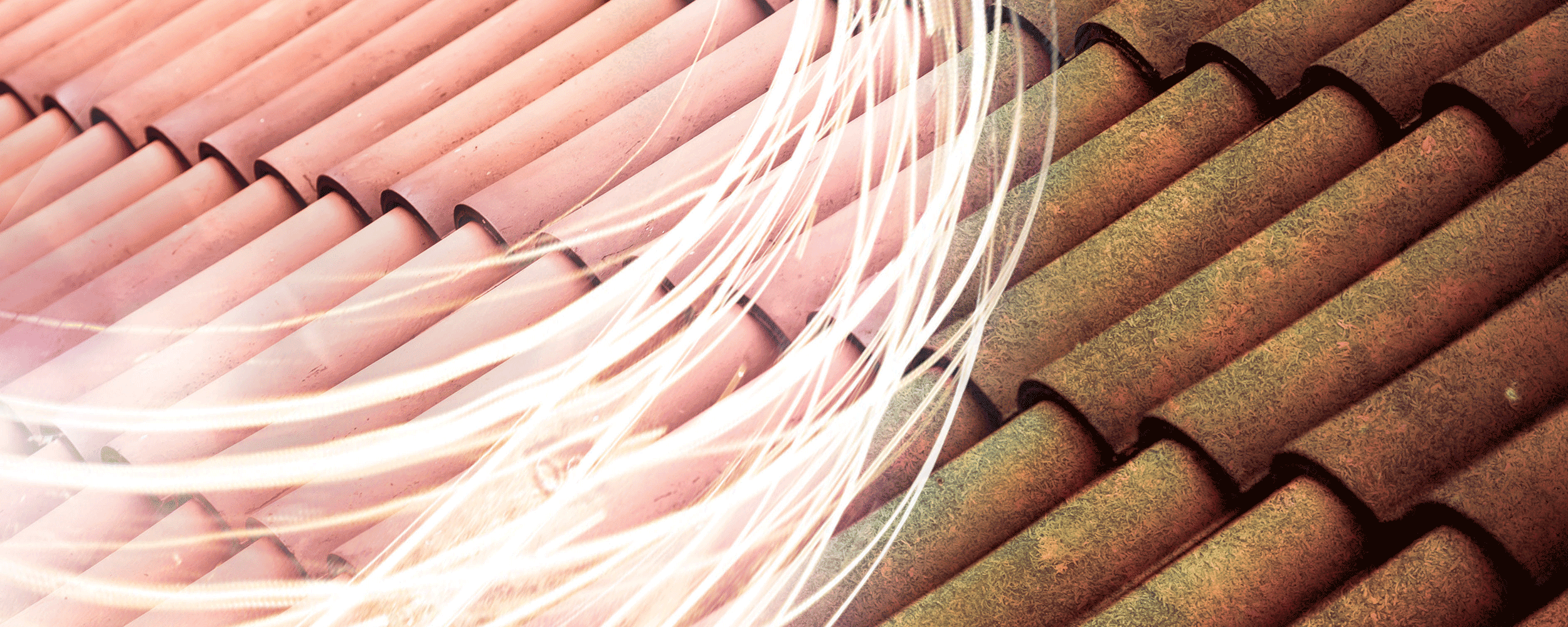 Algborttagning på tak